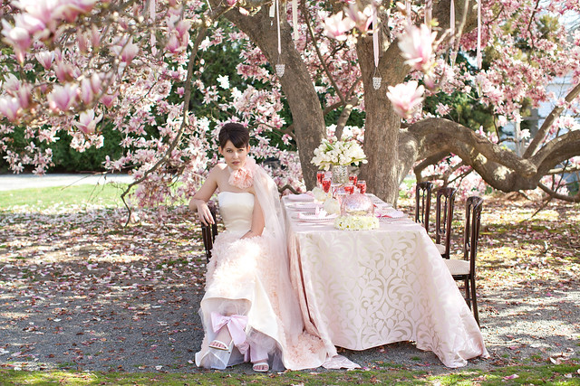 Magnolia Photo Shoot, Blush Printables