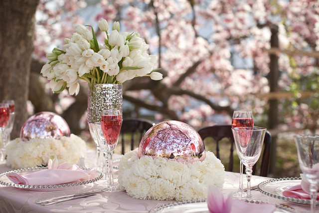 Magnolia Photo Shoot, Blush Printables