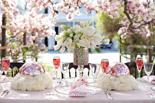 Magnolia Photo Shoot, Blush Printables