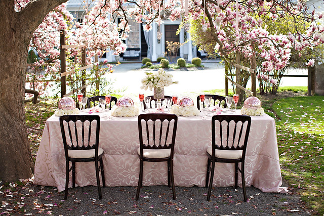 Magnolia Photo Shoot, Blush Printables