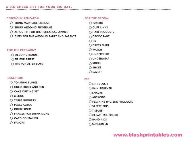 Free Wedding Day Check List by Blush Printables