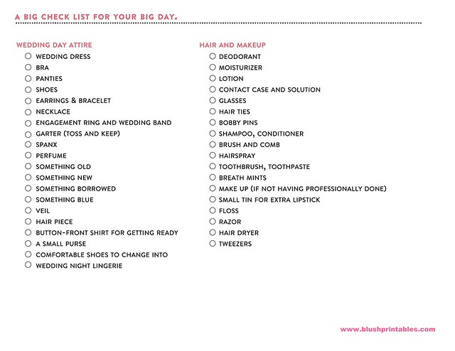 Free Wedding Day Check List by Blush Printables