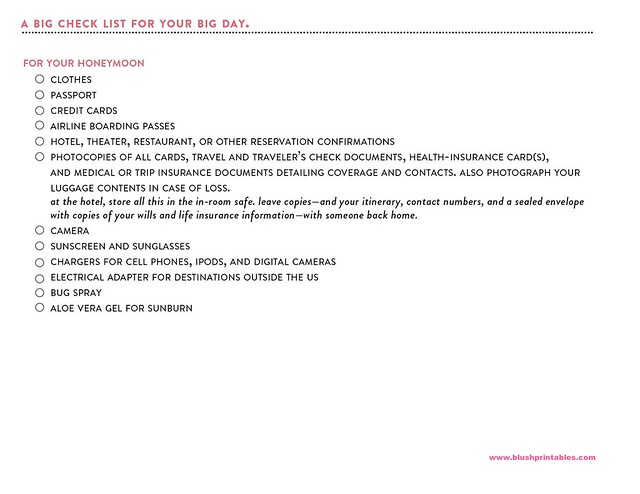 Free Wedding Day Check List by Blush Printables