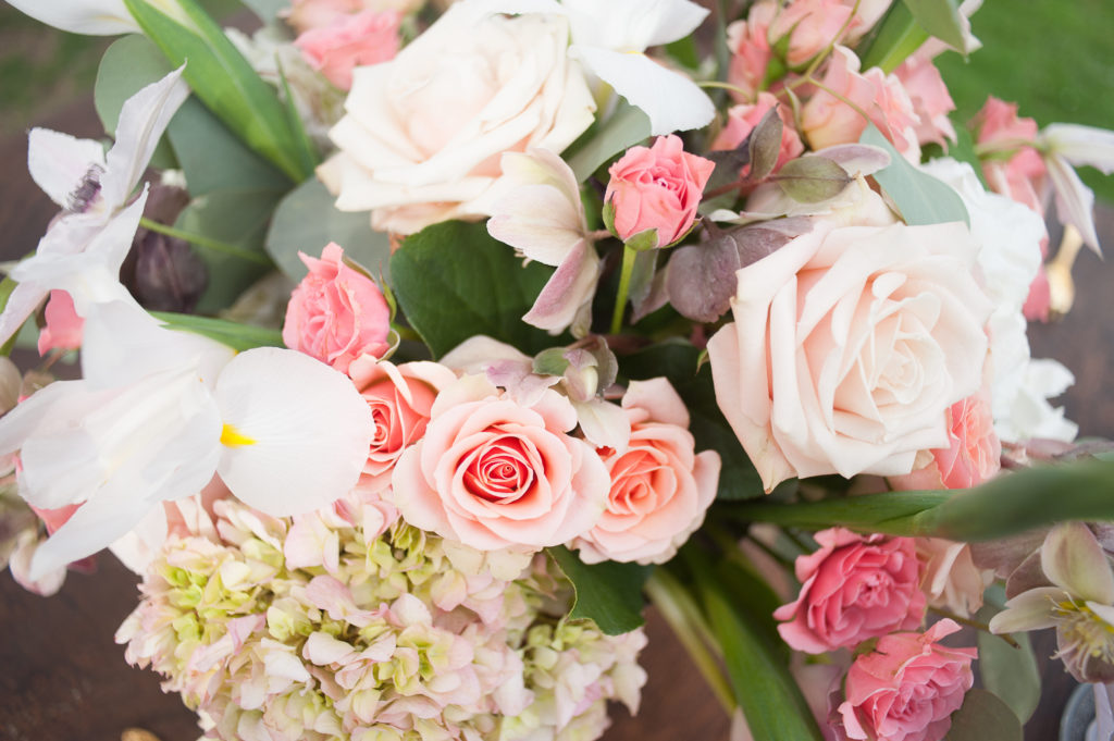 View More: http://jennigracephotography.pass.us/spring-shoot-undedited